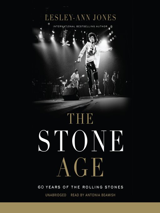 Cover image for The Stone Age